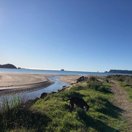 Buffalo Beach Luxury B N B Bed & Breakfast Whitianga Exterior photo