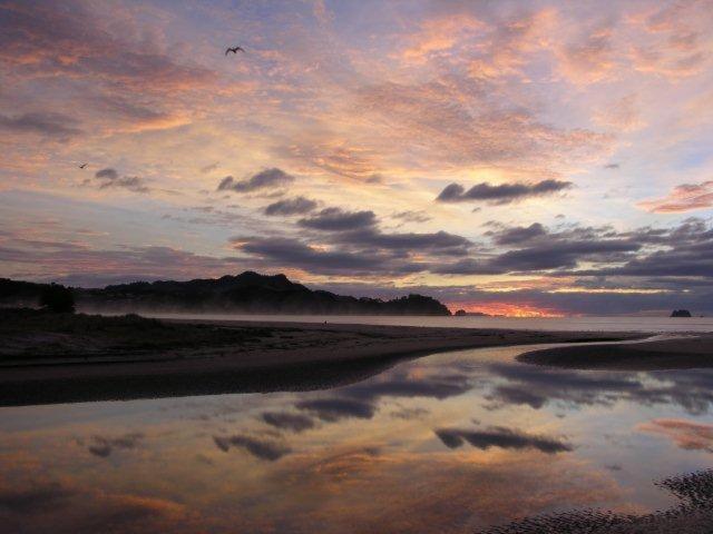 Buffalo Beach Luxury B N B Bed & Breakfast Whitianga Exterior photo