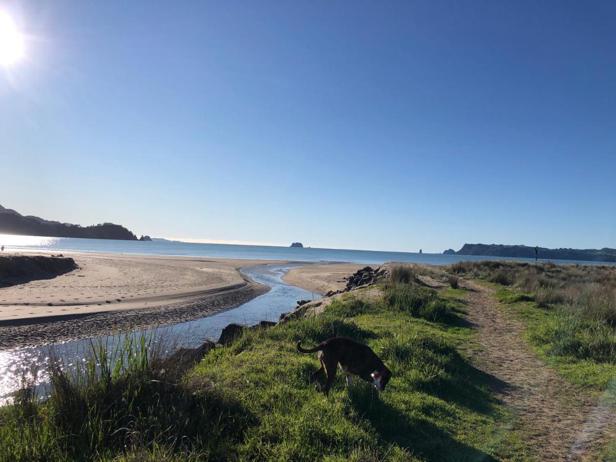 Buffalo Beach Luxury B N B Bed & Breakfast Whitianga Exterior photo